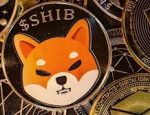 “SHIB Has a Great Model,” David Gokhshtein Believes Next 12 Months Might Be Key for Shiba Inu