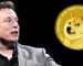 Dogecoin (DOGE) Gets Elon Musk’s Nod as a Payment Option for Tesla and SpaceX Merchandise