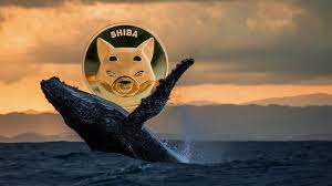 This Whale Purchases 143 Billion Shiba, While Already Holding MATIC and LINK
