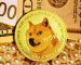 DOGE Returns As Top Purchased Coin by BNB Whales