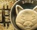 SHIB Wrapped on BNB Chain Can Now Be Used for Payments via This Company: Report