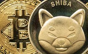Rev. Dr. Doge Discloses The Acceptance Of Shiba Inu Alongside Some Few cryptos As Donations By The First Miami Presbyterian Church