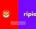 Ripio App Might Support Shiba Inu Soon and Vueling has partnered with BitPay and UATP to add support to Shib And Some Crypto