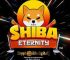 Shytoshi Kusama Says Downloading The Shiba Inu Game Will Help Reduce Total Shiba Inu Supply As Shiba Inu Team Plans To Burn 5% Of Reward Earn In The Game