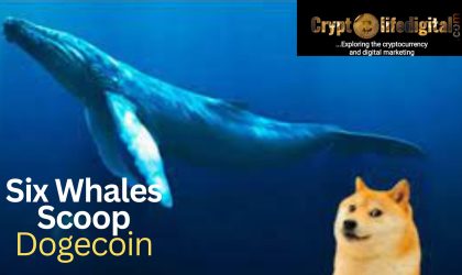 Six Dogecoin Whales Jointly Purchased A Whopping 620 Million Worth About $37.2 Million, Dogecoin Spikes By 5.13% Over the Past Week