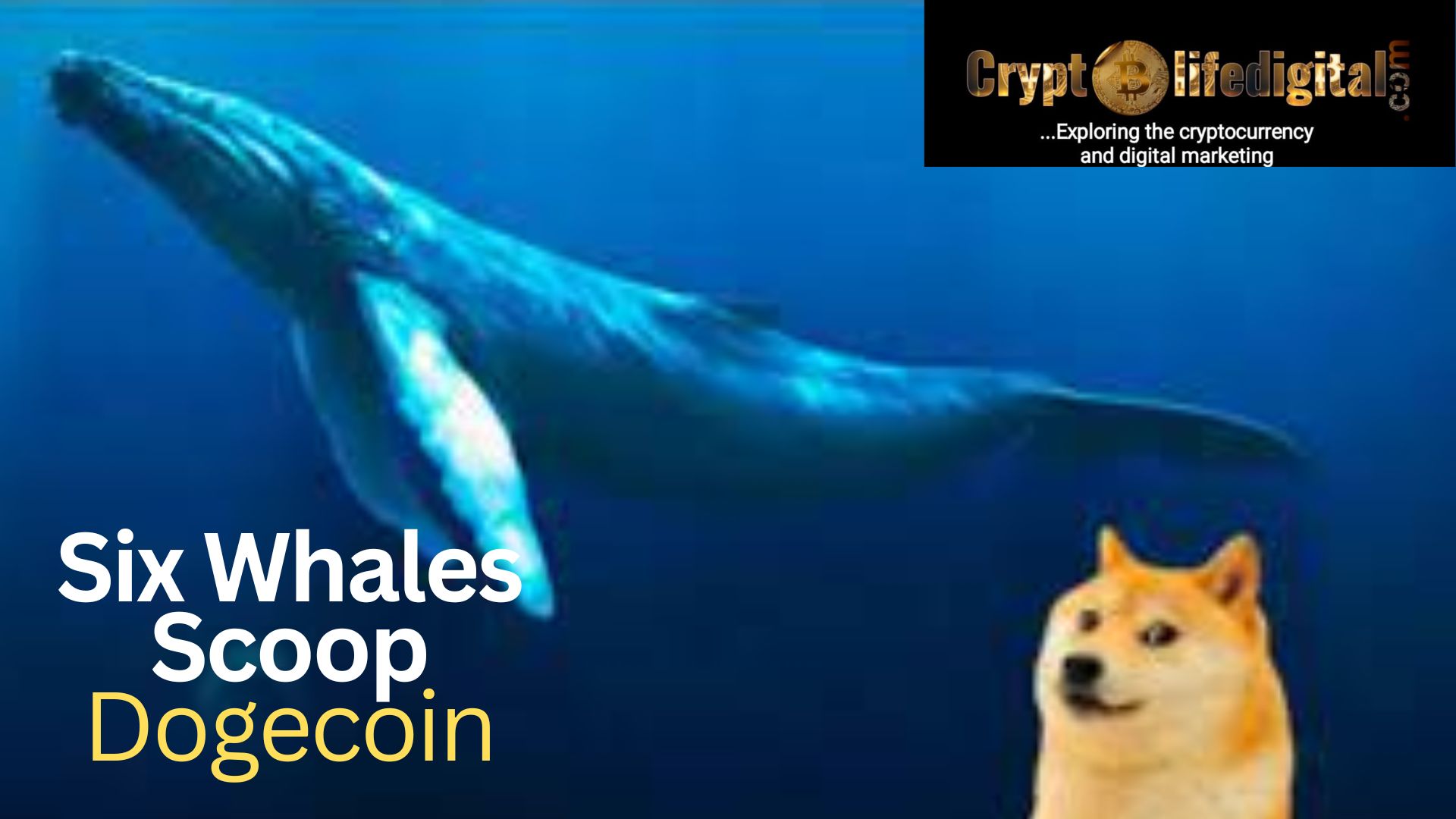 Six Dogecoin Whales Jointly Purchased A Whopping 620 Million Worth About $37.2 Million, Dogecoin Spikes By 5.13% Over the Past Week