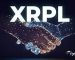 Over 395 Million XRP Was Transferred By Whales Between Exchanges Following The XRP Rallying