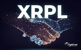 Over 395 Million XRP Was Transferred By Whales Between Exchanges Following The XRP Rallying