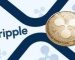 Ripple Scores “Very Big Win” as SEC’s reconsideration for ruling DPP was declined by the Judge.