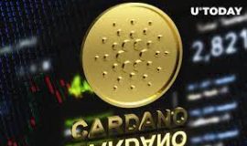 Cardano Dip To 0.8$,Time To Buy