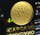 Cardano’s Biggest Wallets Again Own Largest Part of ADA Supply in 2 Years: Almost 50%