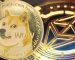 Dogecoin-Ethereum Bridge To Be Launched This Year