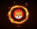 Shiba Inu’s Burn Rate Records Over 385% As Almost 74 million Shib Tokens Were Sent To Dead Wallet