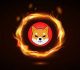 Shiba Inu’s Burn Rate Records Over 385% As Almost 74 million Shib Tokens Were Sent To Dead Wallet