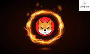 A Total Of 550,351,774  Shiba Inu Tokens Have Been Burned In 111 Different Transactions Over The Past 6 Days With 120 Bone ShibaSwap (BONE)