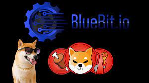 LEASH Token Is Now Officially Live On BlueBit.io In Addition To Three Other Shiba Inu Tokens