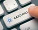 ADA Whales Stated “Cardano Aiming To Build Out Its Own Version Of What A Crypto Should Be” While Revealing The Reason Cardano Faces Criticism