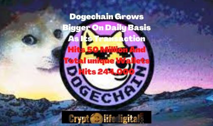 Dogechain Grows Bigger As Its Transaction Hits 50 Million And Total Unique Wallets Hits 244,000