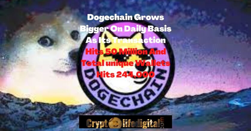 Dogechain Grows Bigger As Its Transaction Hits 50 Million And Total Unique Wallets Hits 244,000