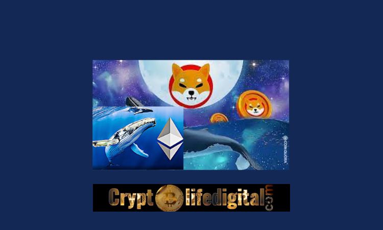 https://cryptolifedigital.com/wp-content/uploads/2022/10/ETH-Biggest-Whale-Transfers-A-Whopping-150-Million-SHIB-To-CryptoCom.jpg