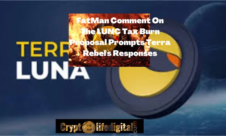 FatMan Comment On The LUNC Tax Burn Proposal Prompts Terra Rebel's Responses