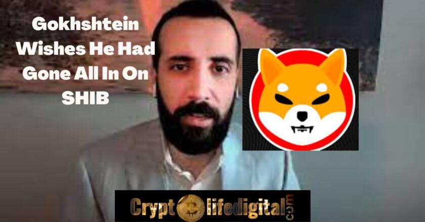 Crypto Veteran, David Gokhshtein, Says “When it Came To Meme Tokens, I Should Have Just [Gone] All In On SHIB”