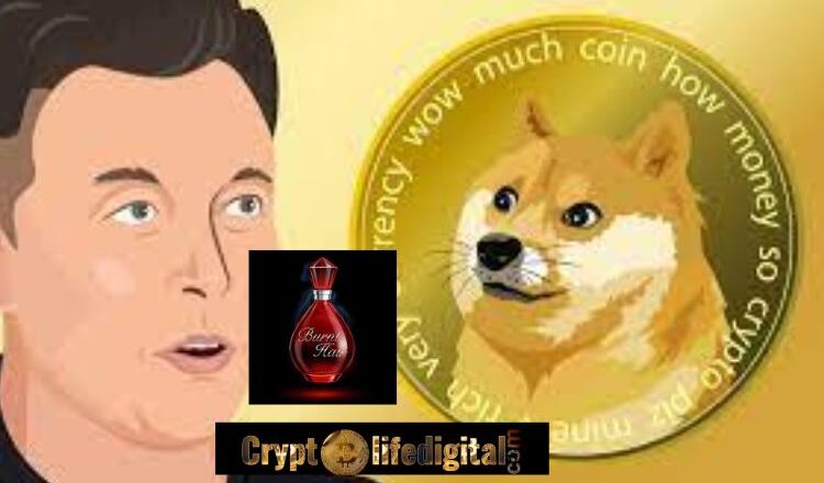 Elon Musk’s Boring Company Now Accepts Dogecoin For The Payment Of Its Perfume