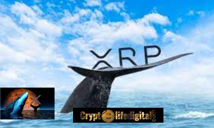 https://cryptolifedigital.com/wp-content/uploads/2022/10/Ripple-Transfers-A-whopping-75-Million-XRP-To-Unknown-Wallet-coins-Whales-Investors-Re-shuffle-158.7-Million-XRP.jpg