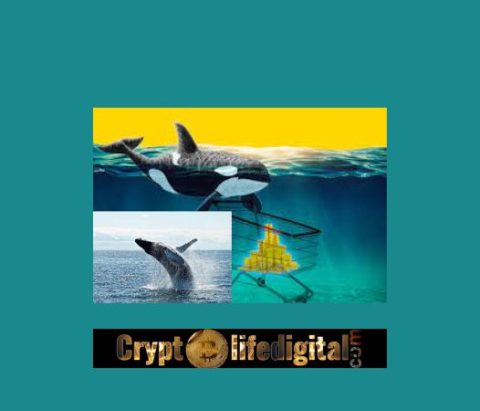 Ripple Whales Move A massive 340.8 Million XRP, Although Its Price Still Experiences Struggle