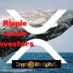 https://cryptolifedigital.com/wp-content/uploads/2022/10/Ripple-whale-Investors.jpg