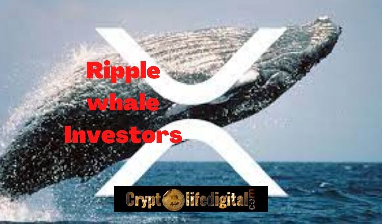 Ripple Moves A Total Of 50 Million XRP, Whale Investors Also Re-Shuffle 315 Million Among Exchanges
