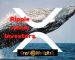 Ripple Moves A Total Of 50 Million XRP, Whale Investors Also Re-Shuffle 315 Million Among Exchanges