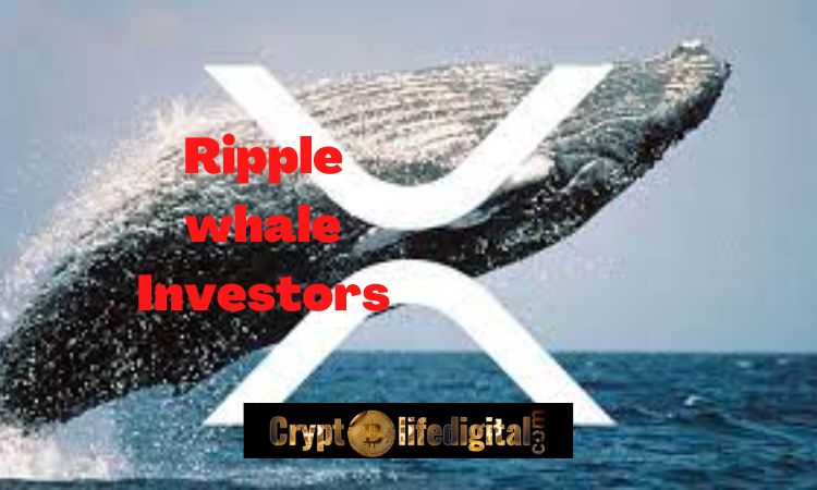 https://cryptolifedigital.com/wp-content/uploads/2022/10/Ripple-whale-Investors.jpg