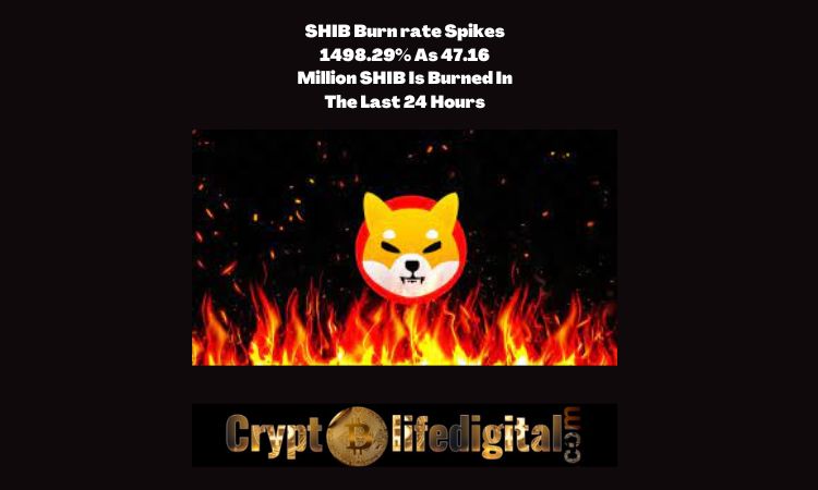 https://cryptolifedigital.com/wp-content/uploads/2022/10/SHIB-Burn-rate-Spikes-1498.29-As-47.16-Million-SHIB-Is-Burned-In-The-Last-24-Hours.jpg