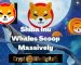 Shiba Inu Whales Scoop A Whopping 256.98 Billion SHIB Worth $2.72 Million As Shiba Inu’s Price Recover