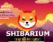 Shytoshi Kusama Unveils New Shiba Inu Game’s Details And Shibarium Role: Check it Out