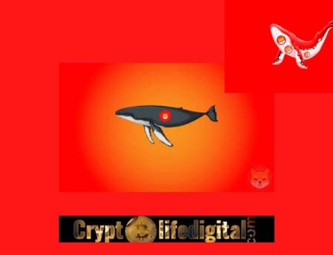 Top ETH Whale Purchases A Whopping 165.86B SHIB  In A Single Transaction As SHIB Price Spikes Over 13% In Past 24 Hours