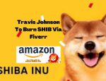 SHIB Super Store Introduces Another Way Of Burning SHIB, SHIB Burns Via Fiverr