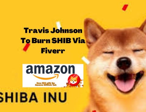 SHIB Super Store Introduces Another Way Of Burning SHIB, SHIB Burns Via Fiverr