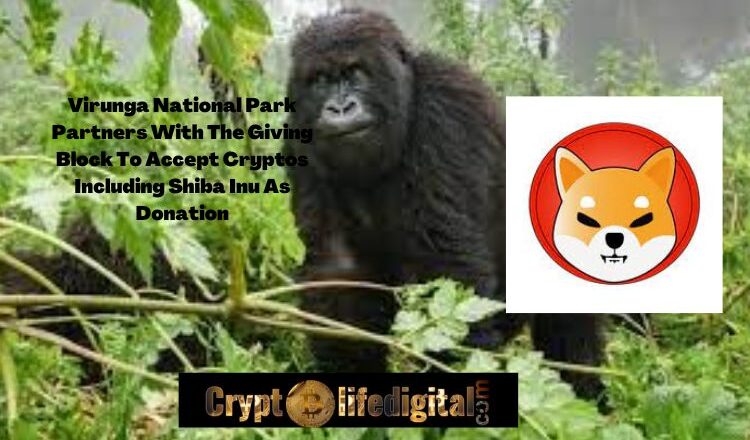 Africa’s Oldest National Park, A UNESCO World Heritage Site Now Accept Shiba Inu And Few Other Crypto As Donations