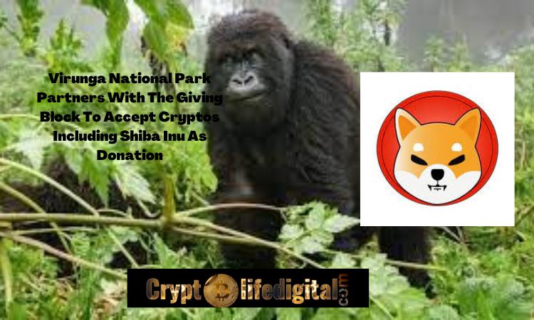 https://cryptolifedigital.com/wp-content/uploads/2022/10/Virunga-National-Park-Partners-With-The-Giving-Block-To-Accept-Cryptos-Including-Shiba-Inu-As-Donation.jpg
