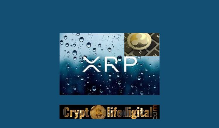 XRP Address Hits 4,341,298 (4.34 million), An Increase Of Over 29 Million In 26 Days