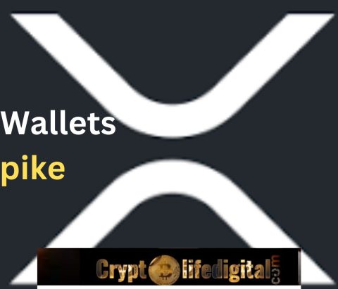 The Number Of XRP Wallets Is Now Over Four Million