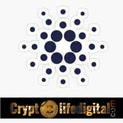 Cardano To Roll Out Midnight, A Data Protection-based Blockchain For Developers And Humanity