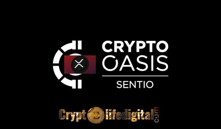 Crypto Oasis Mentions Some Of The Key Impact Of Ripple In The Middle East And North Africa (MENA)