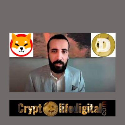 David Gokhshtein Says “Half the people I know made more gains on DOGE and SHIB than BTC,” 
