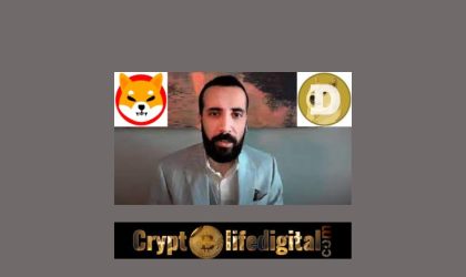 David Gokhshtein Says “Half the people I know made more gains on DOGE and SHIB than BTC,” 