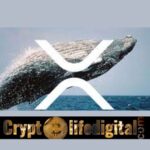 https://cryptolifedigital.com/wp-content/uploads/2022/11/Ripple-Whale-Moves-A-Total-Of-528-Million-Binance-Initiates-The-Biggest-Part-Of-Transaction.jpg