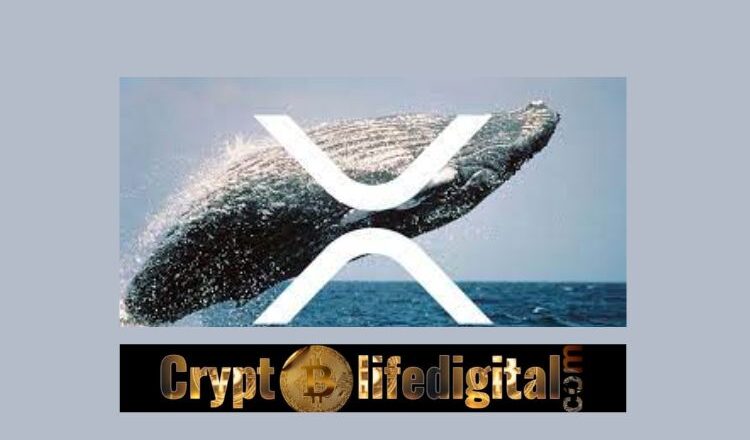 Ripple Whales Move A Total Of 528 Million, Binance Initiates The Biggest Part Of Transaction