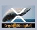 Ripple Whales Move A Total Of 528 Million, Binance Initiates The Biggest Part Of Transaction